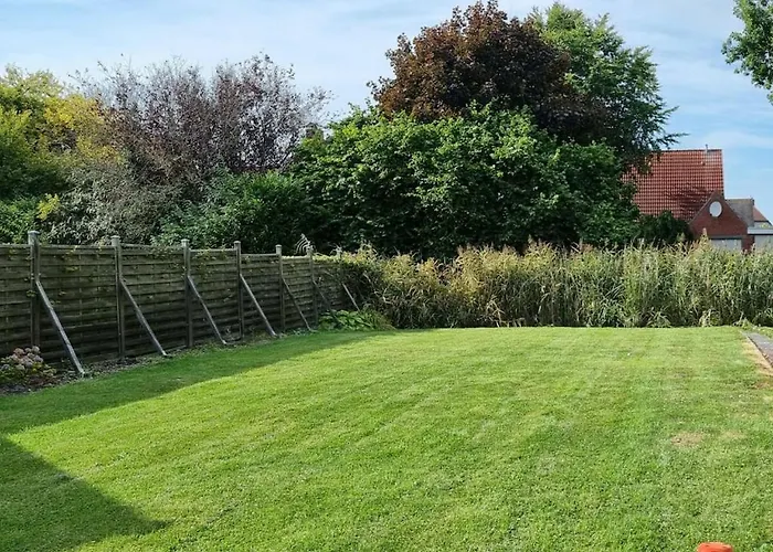 Dori Comfortable * 特希尔